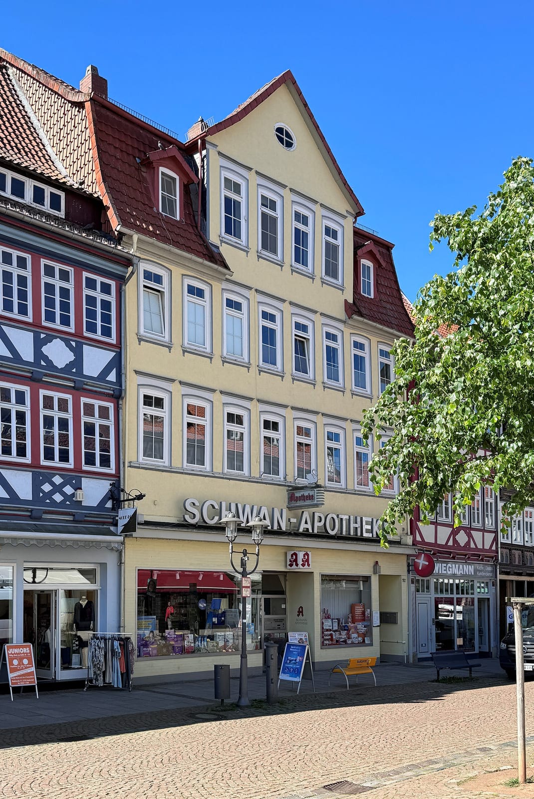 Hermann photo 3