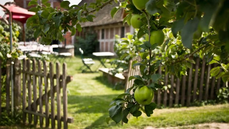 Elieses Kaffeegarten photo 2