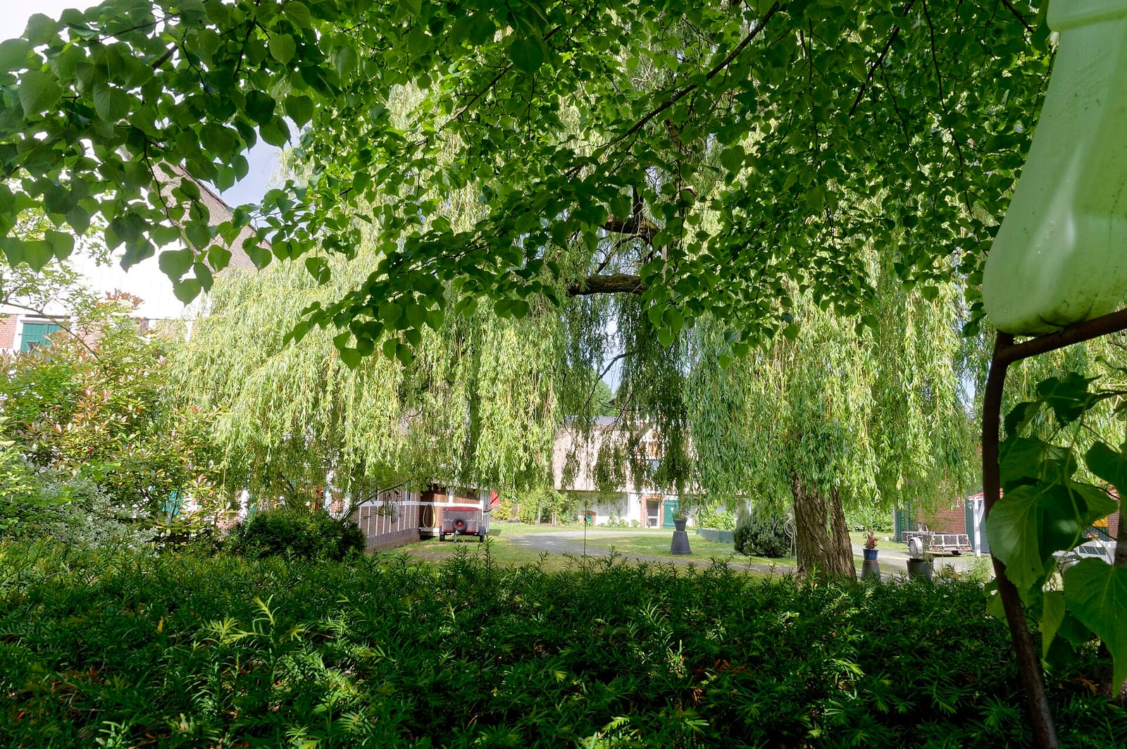 Taubenhof photo 4