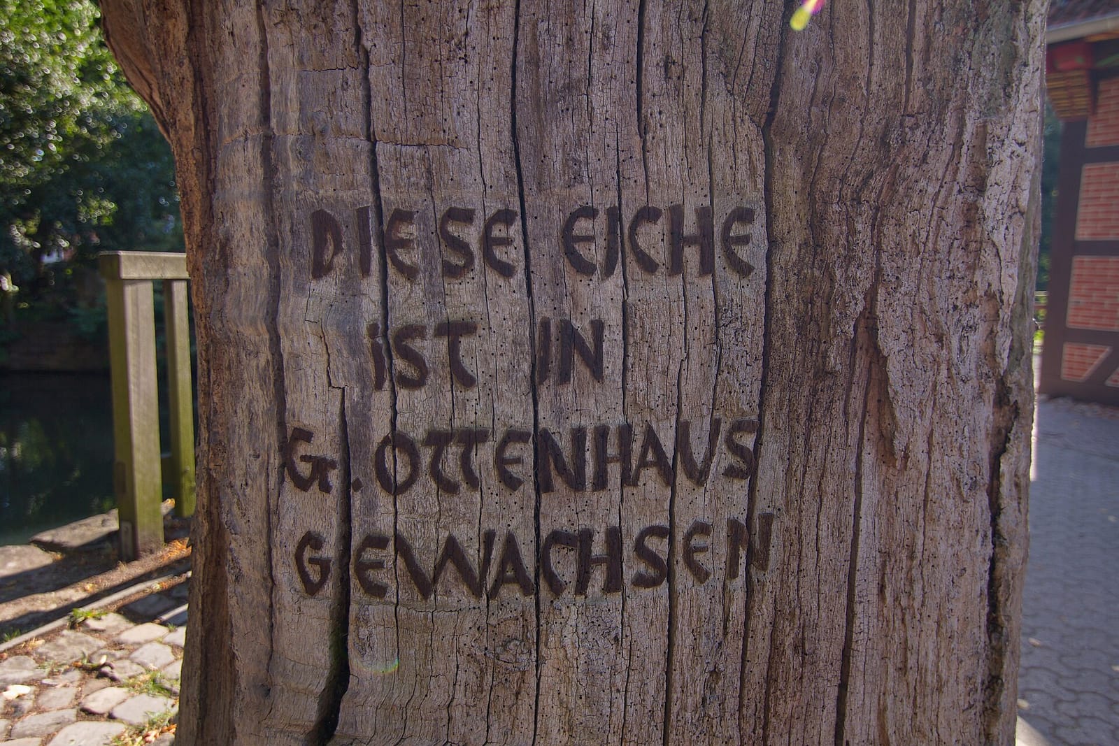 Klosterkaffee photo 4