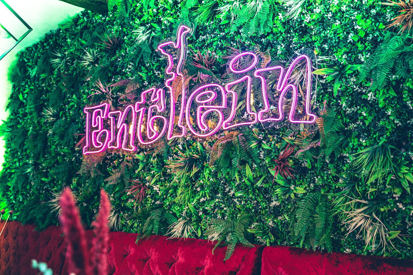 Entlein