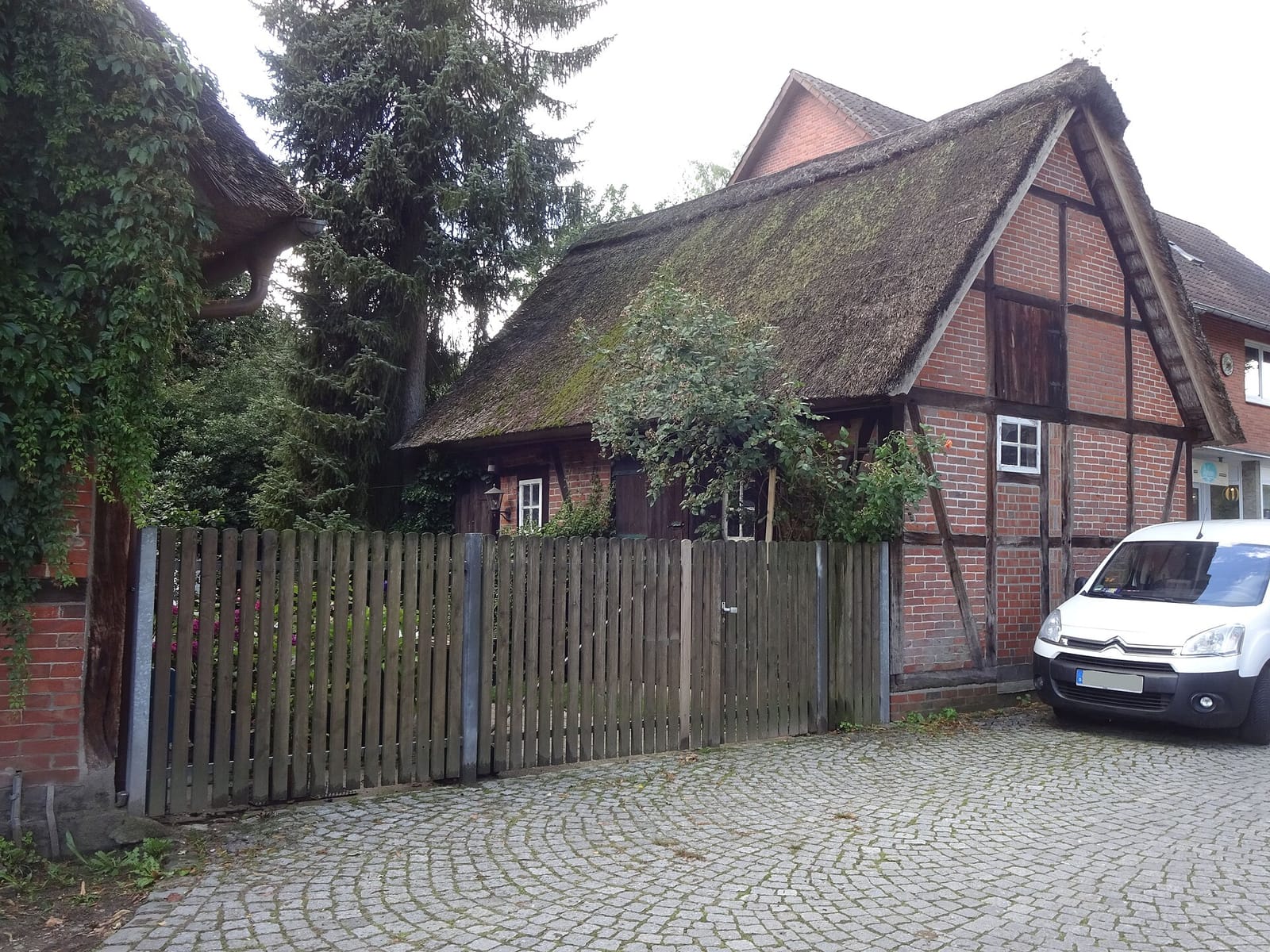 Stephanus photo 4