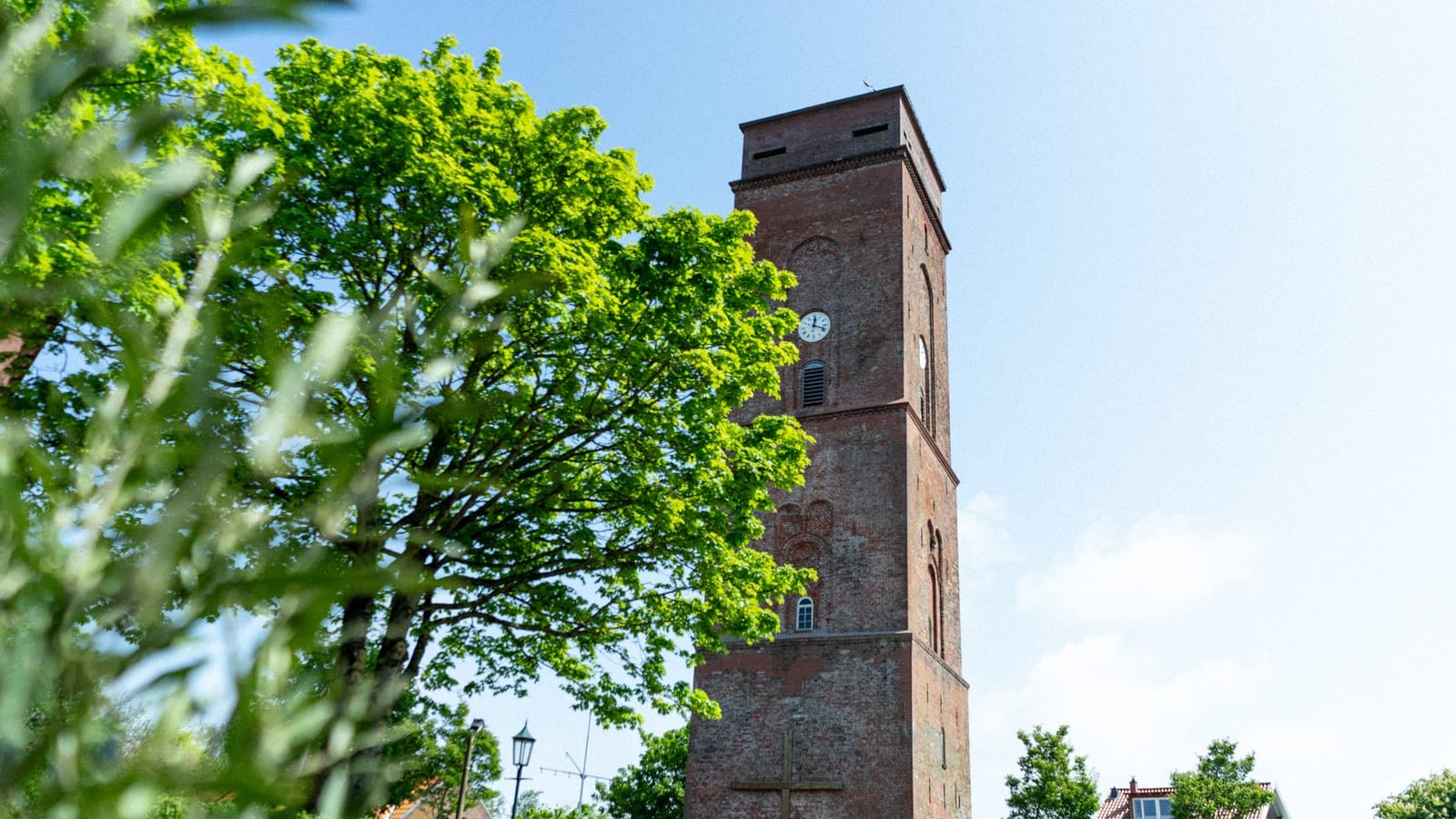 Lüttje Toornkieker photo 8