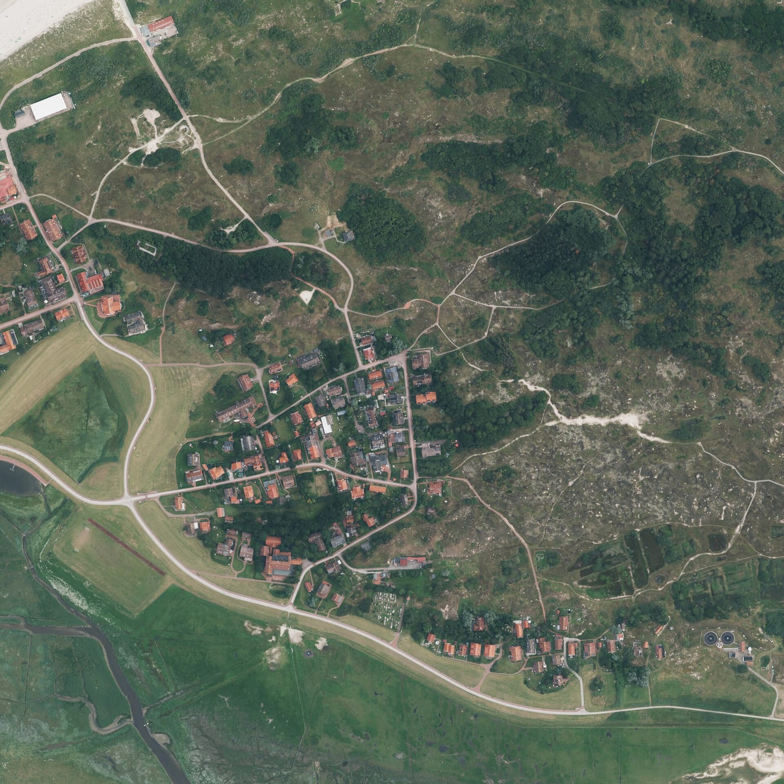 düneneck