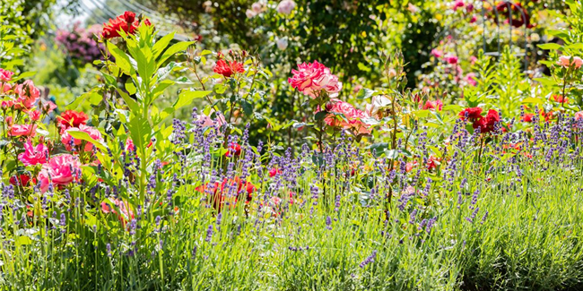 Café Toscana im Gartencenter Lüske photo 2