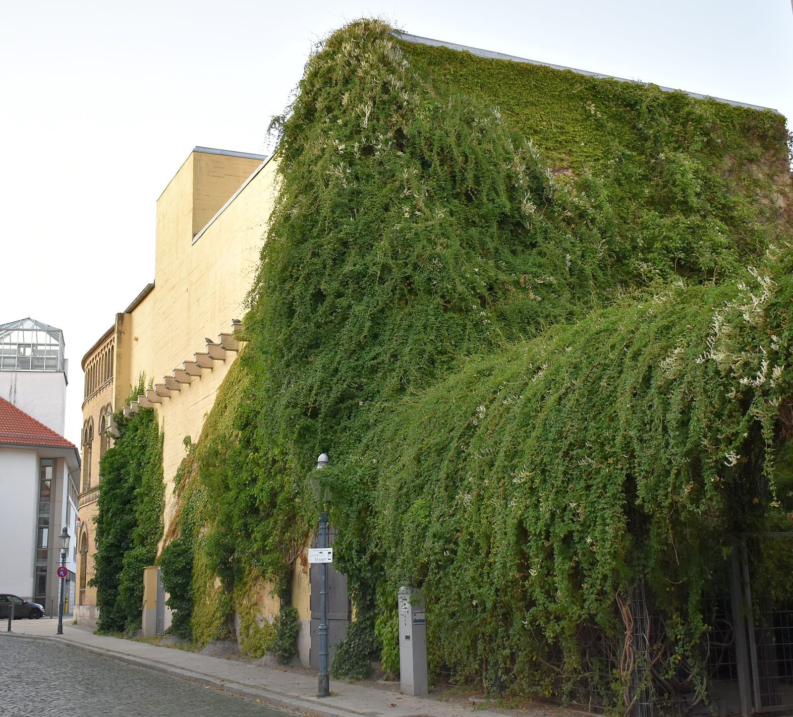 Cafe BRUNS photo 3