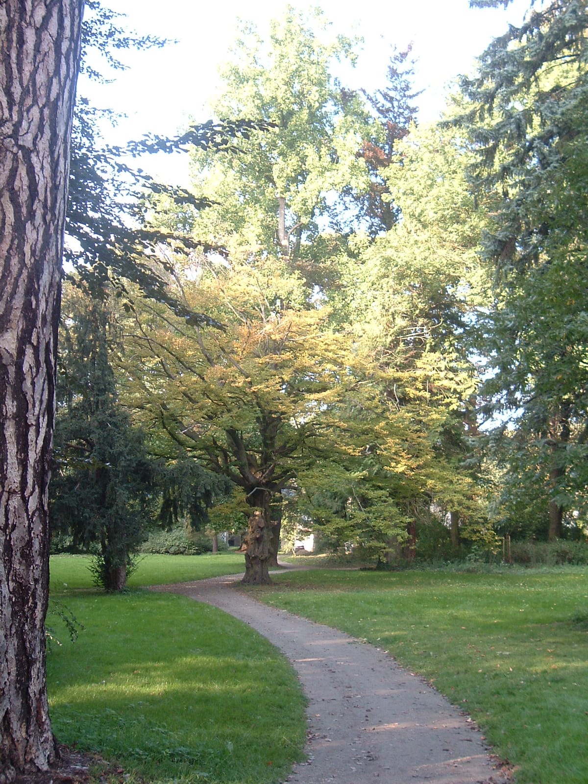 Orangerie Café de