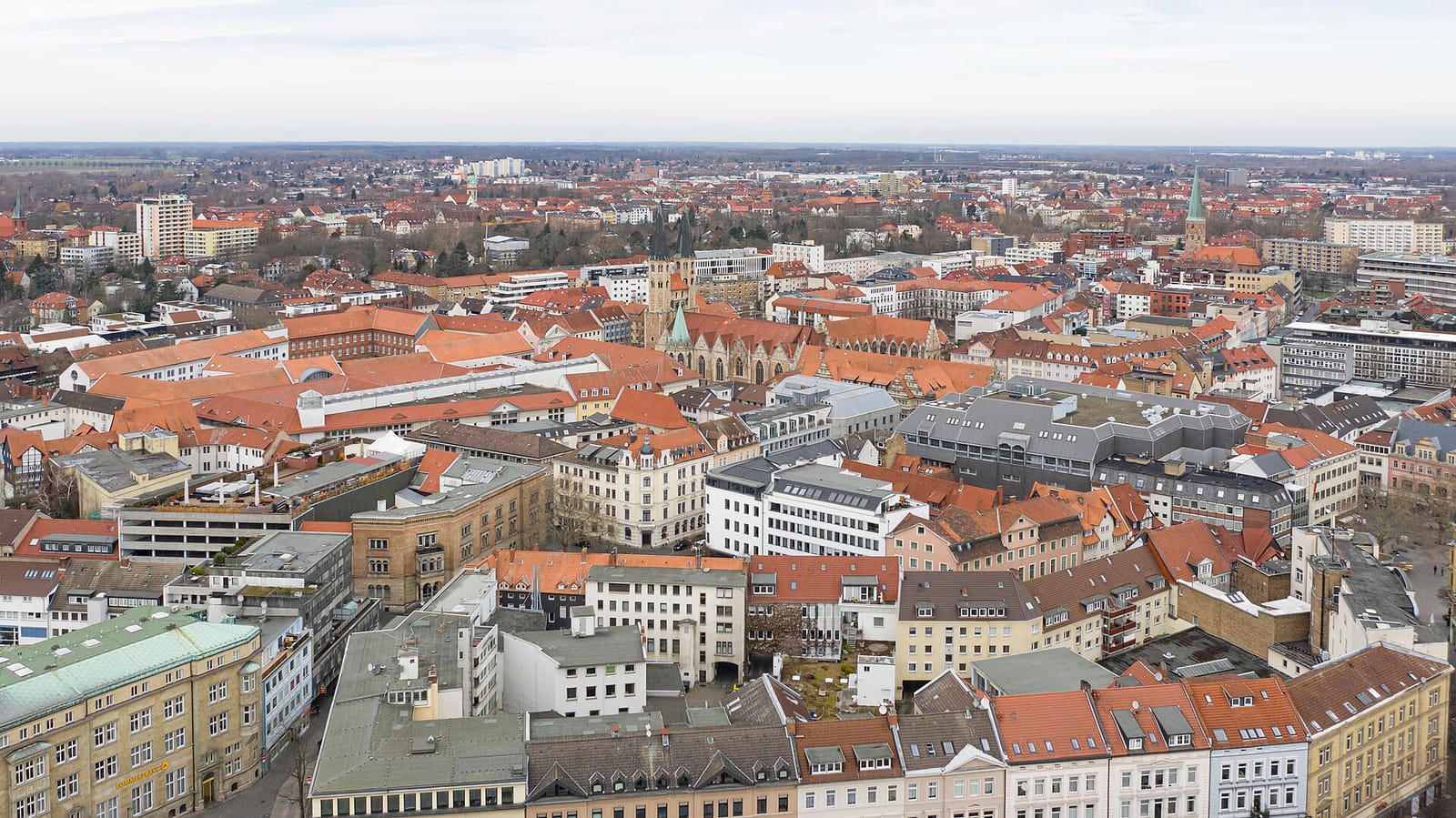 381 photo 3
