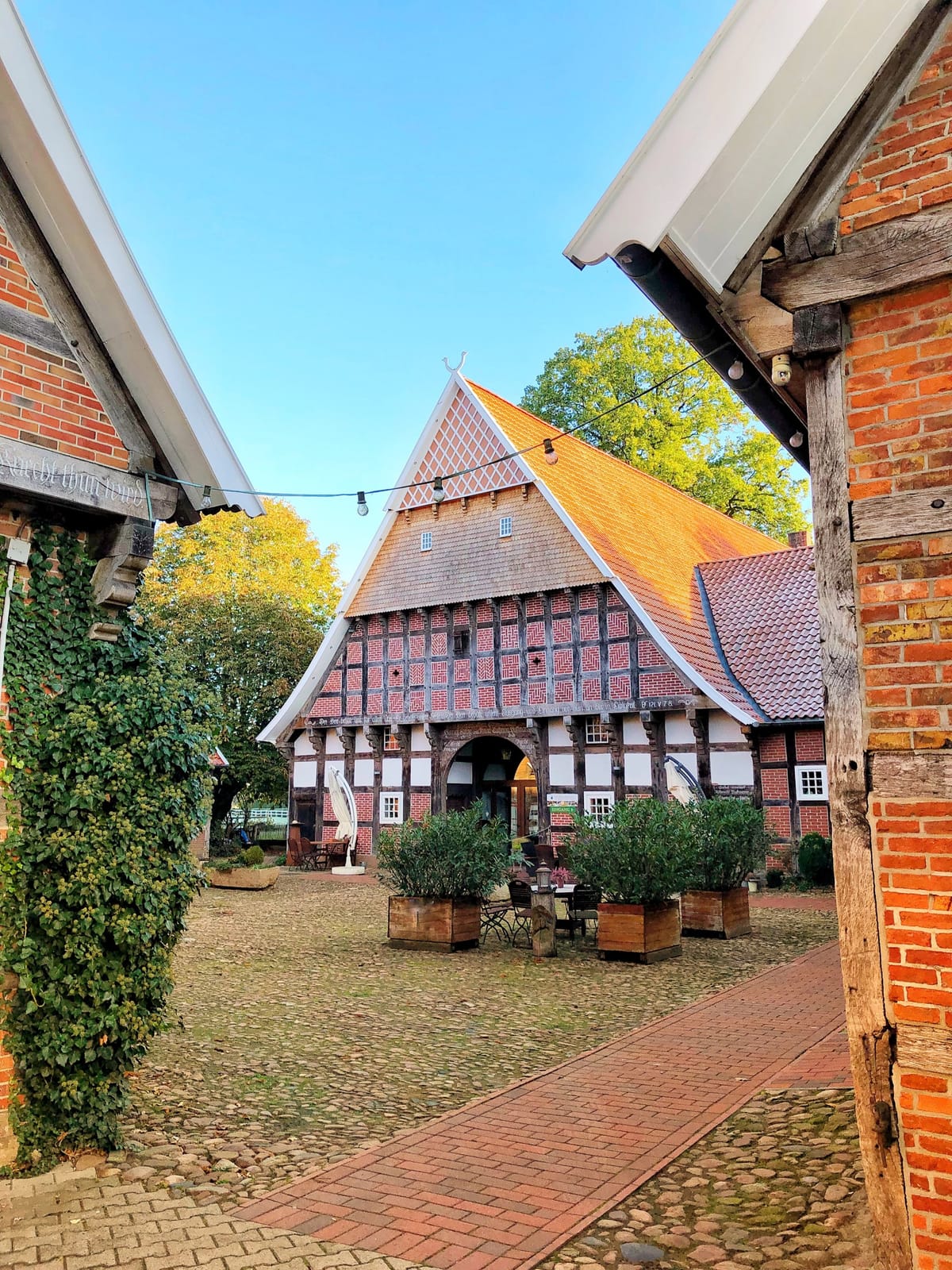 Eltings Backhaus - Café & Restaurant photo 3