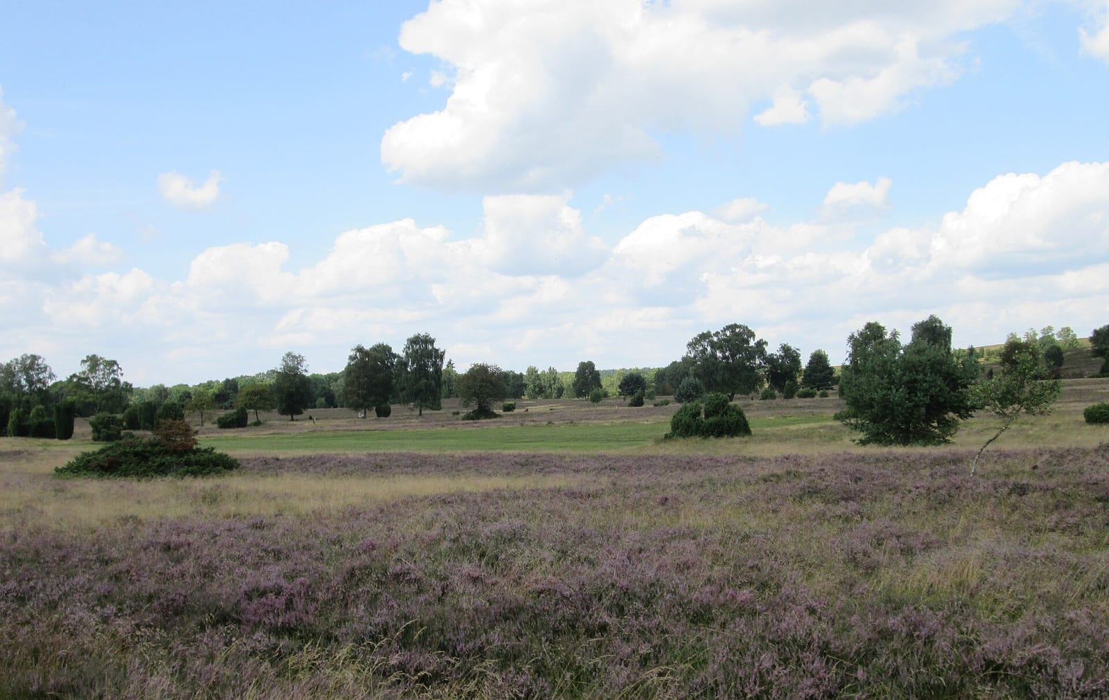 Heide Erlebniszentrum