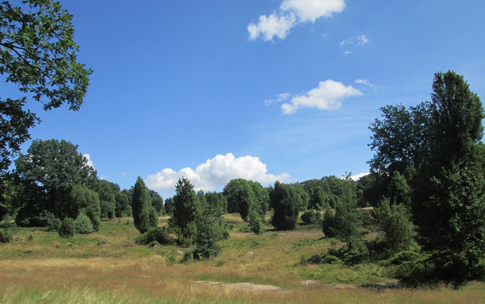 Heide Erlebniszentrum photo 2