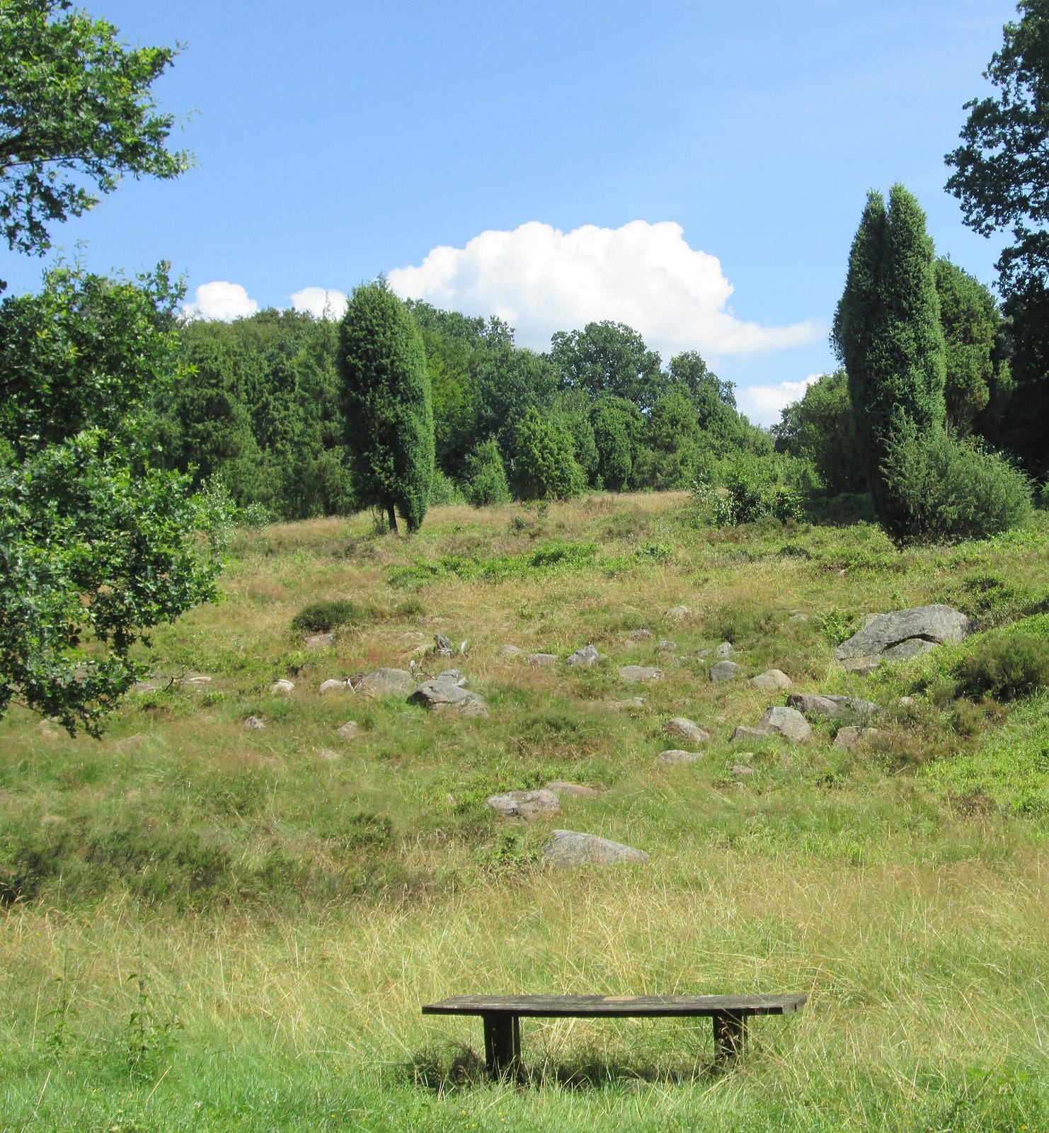 Heide Erlebniszentrum photo 3