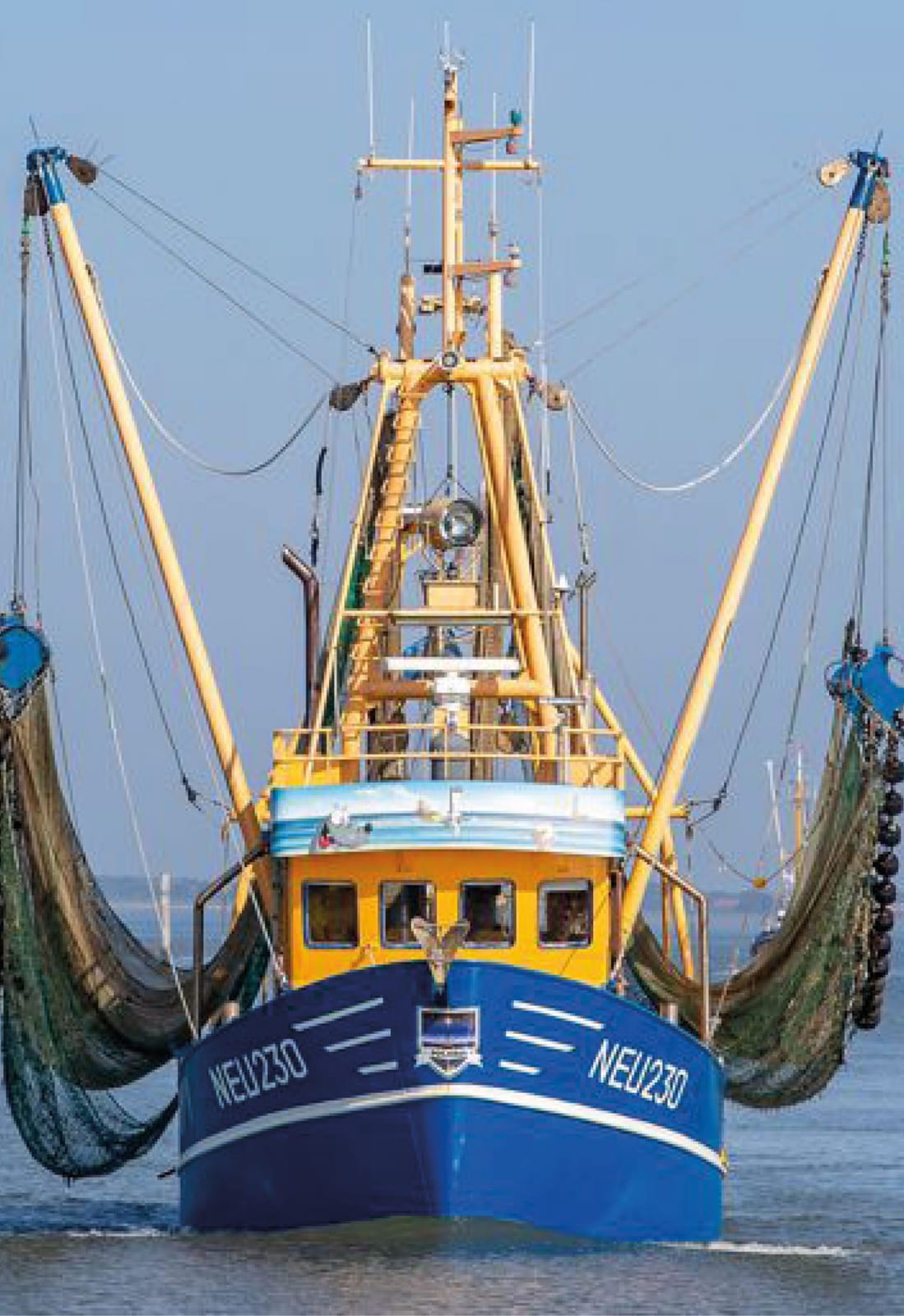 Fischerei-Genossenschaft Neuharlingersiel eG photo 7