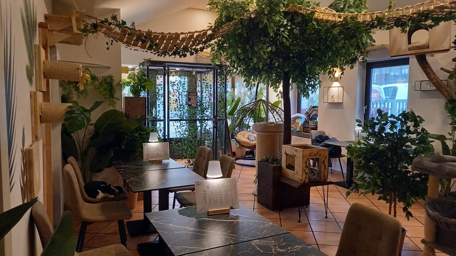 Café „Katzenwald“