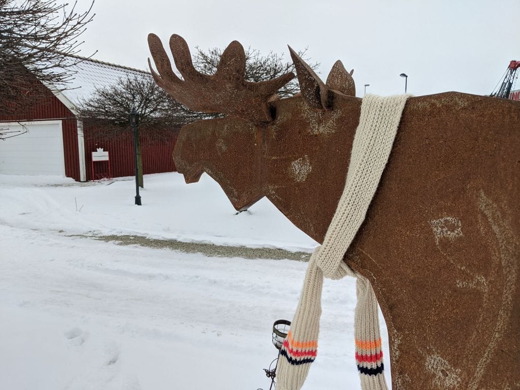 bettis photo 4