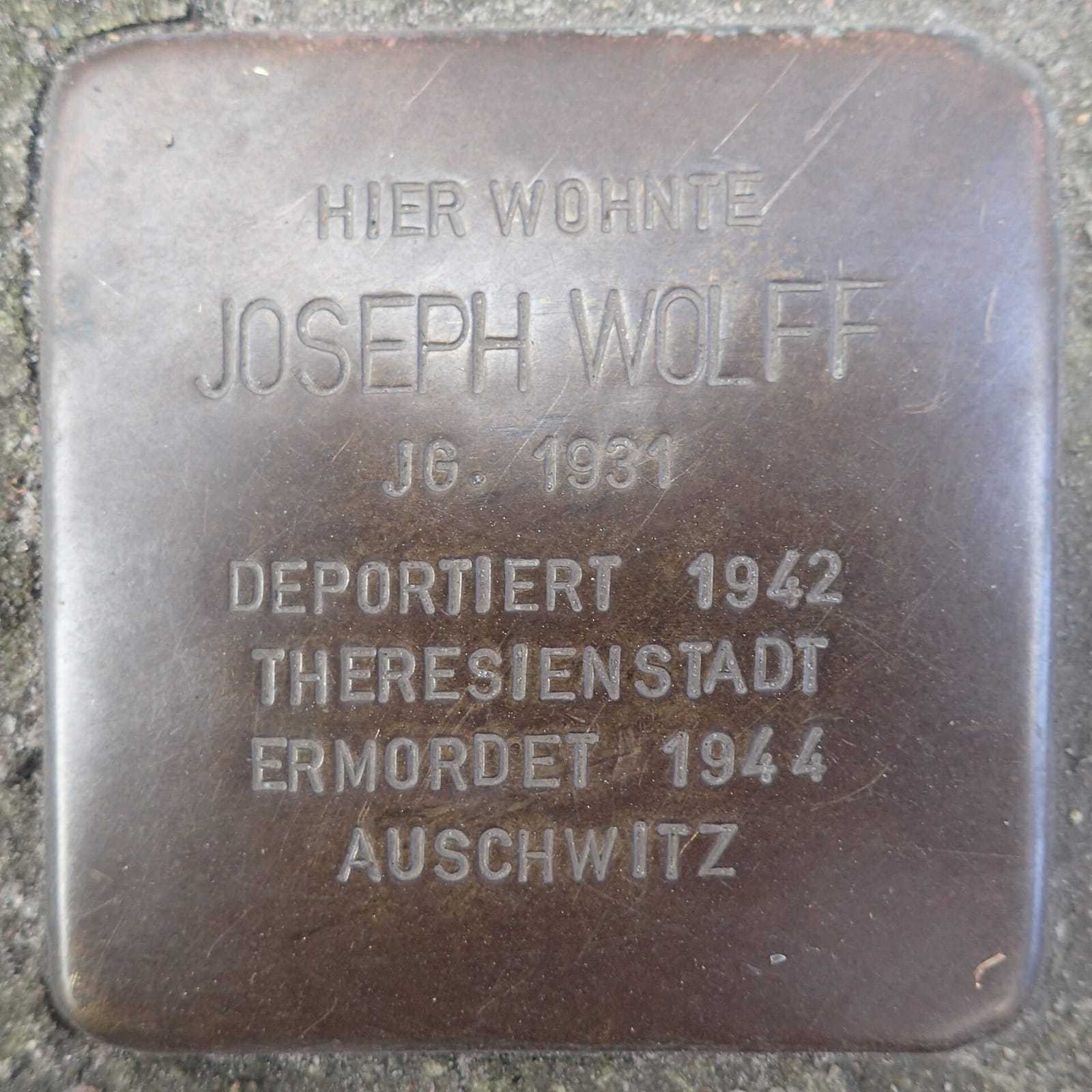 Lichtecht photo 4