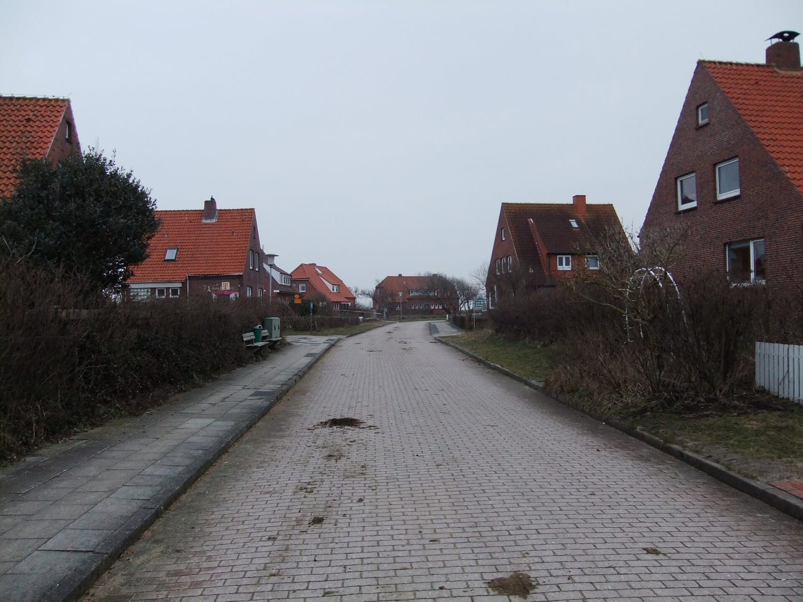 Loogster Stuv photo 2