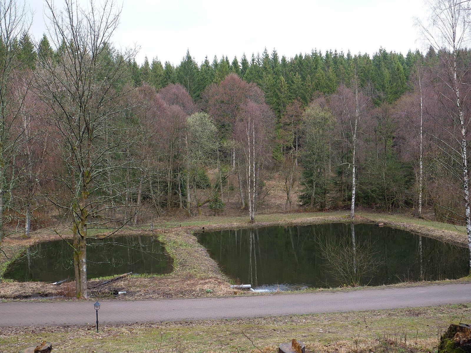 Waldcafé Forellenteich photo 2