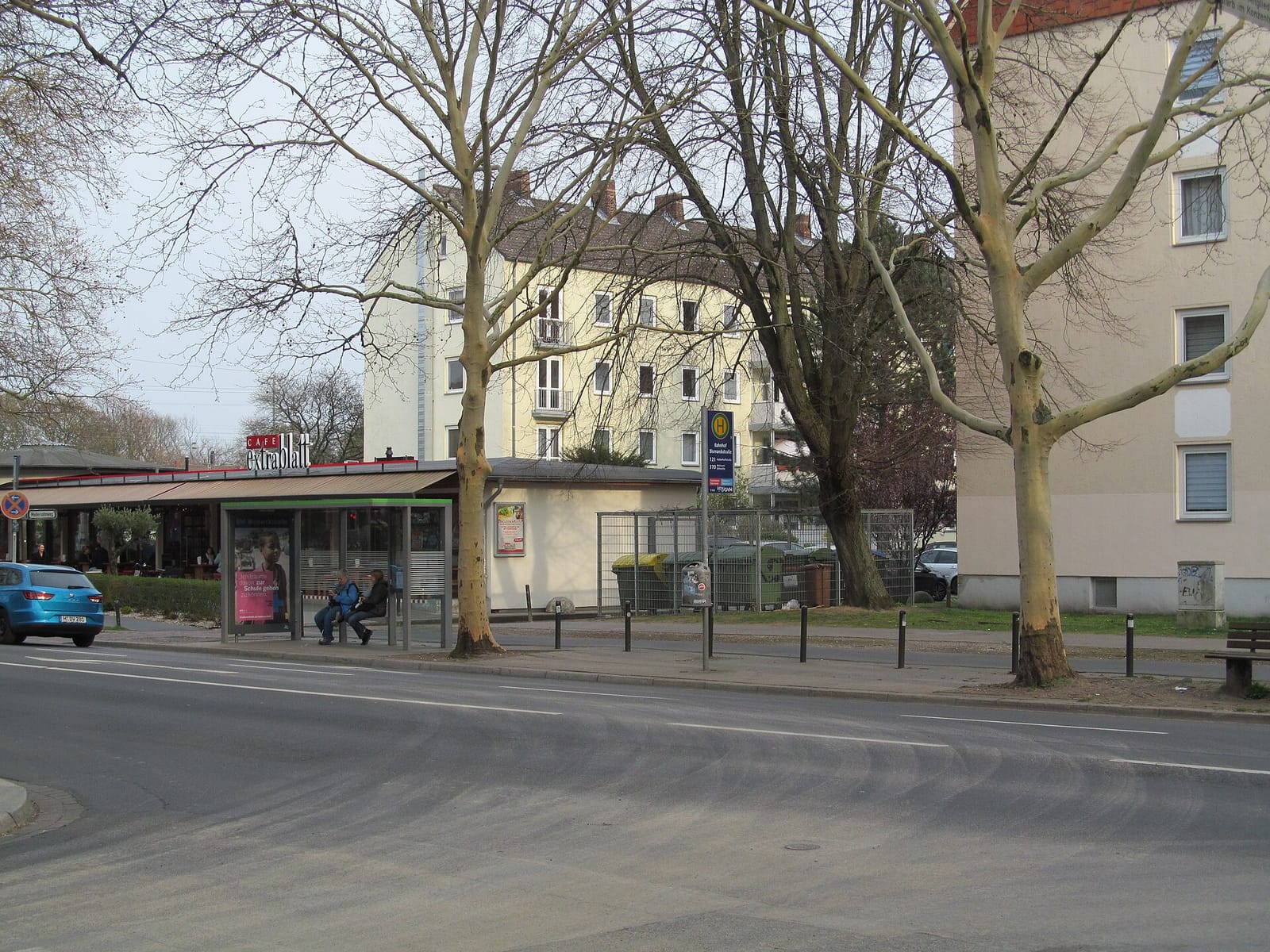 Früher Vogel photo 2