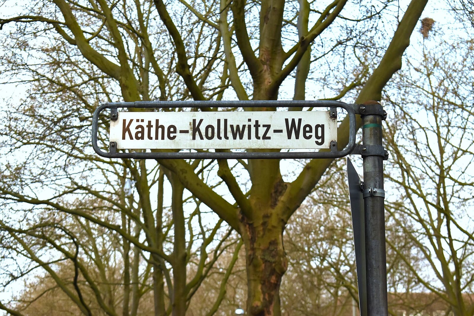 Früher Vogel photo 4