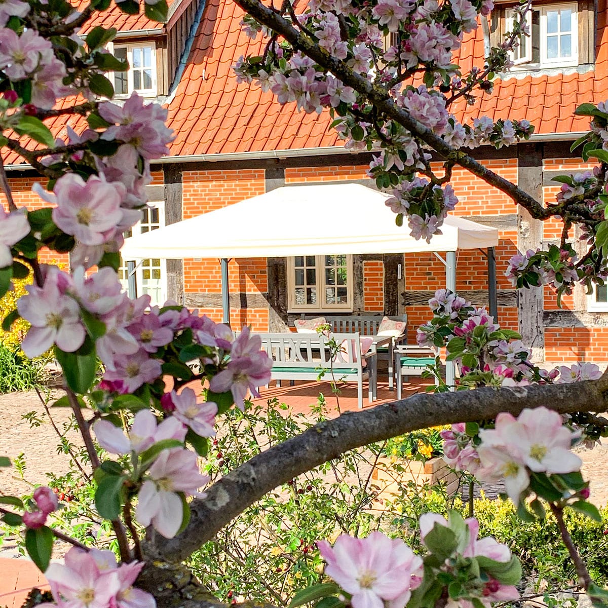 Bauerngarten Hofcafe photo 4