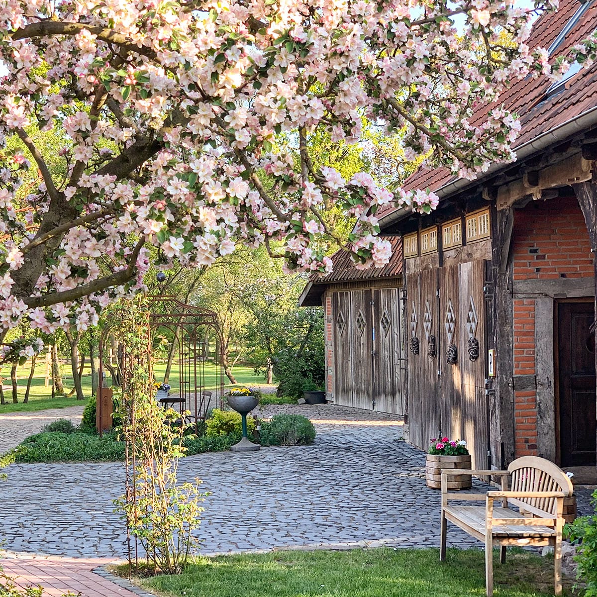 Bauerngarten Hofcafe photo 3