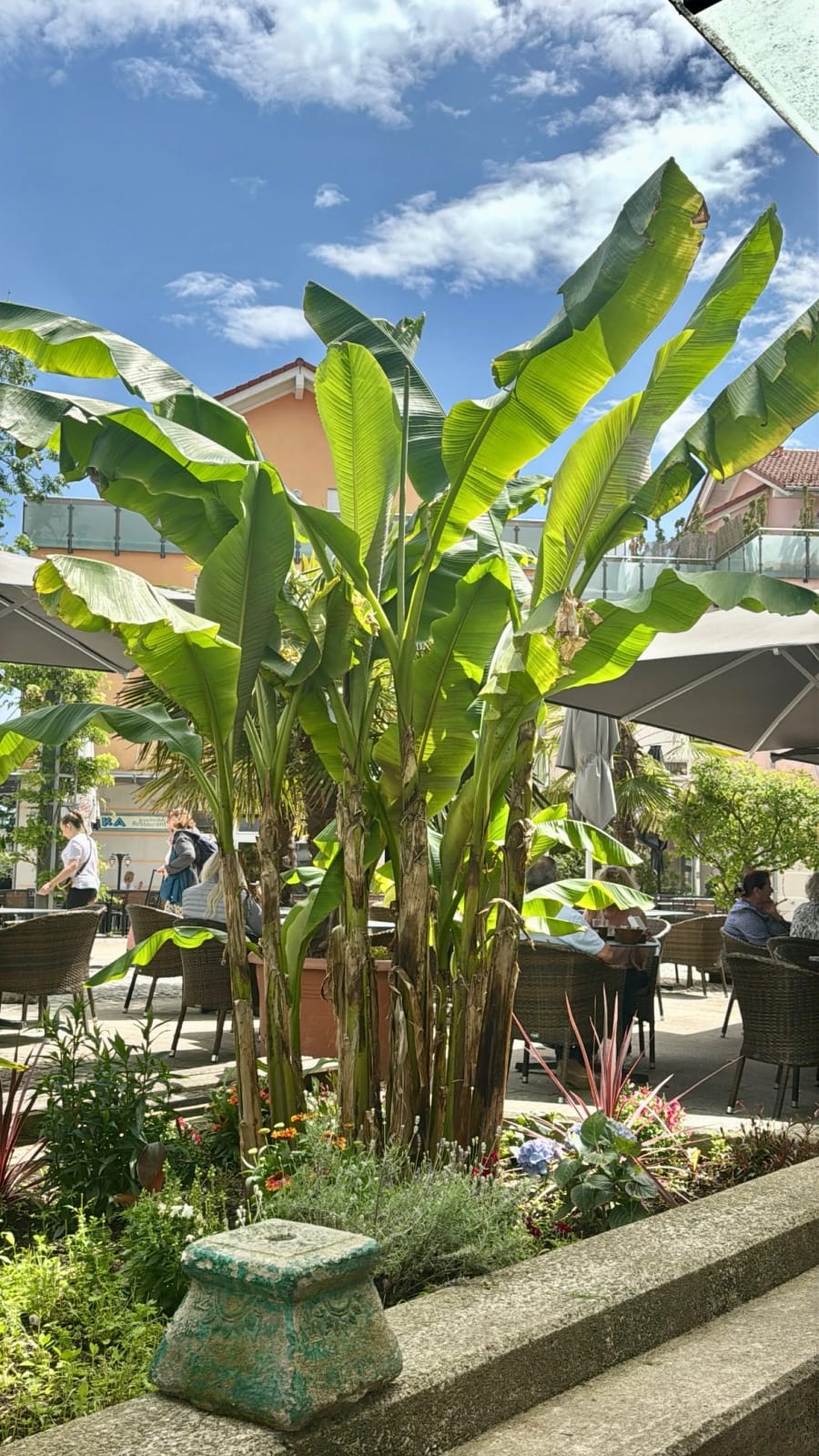 Café Reis photo 4