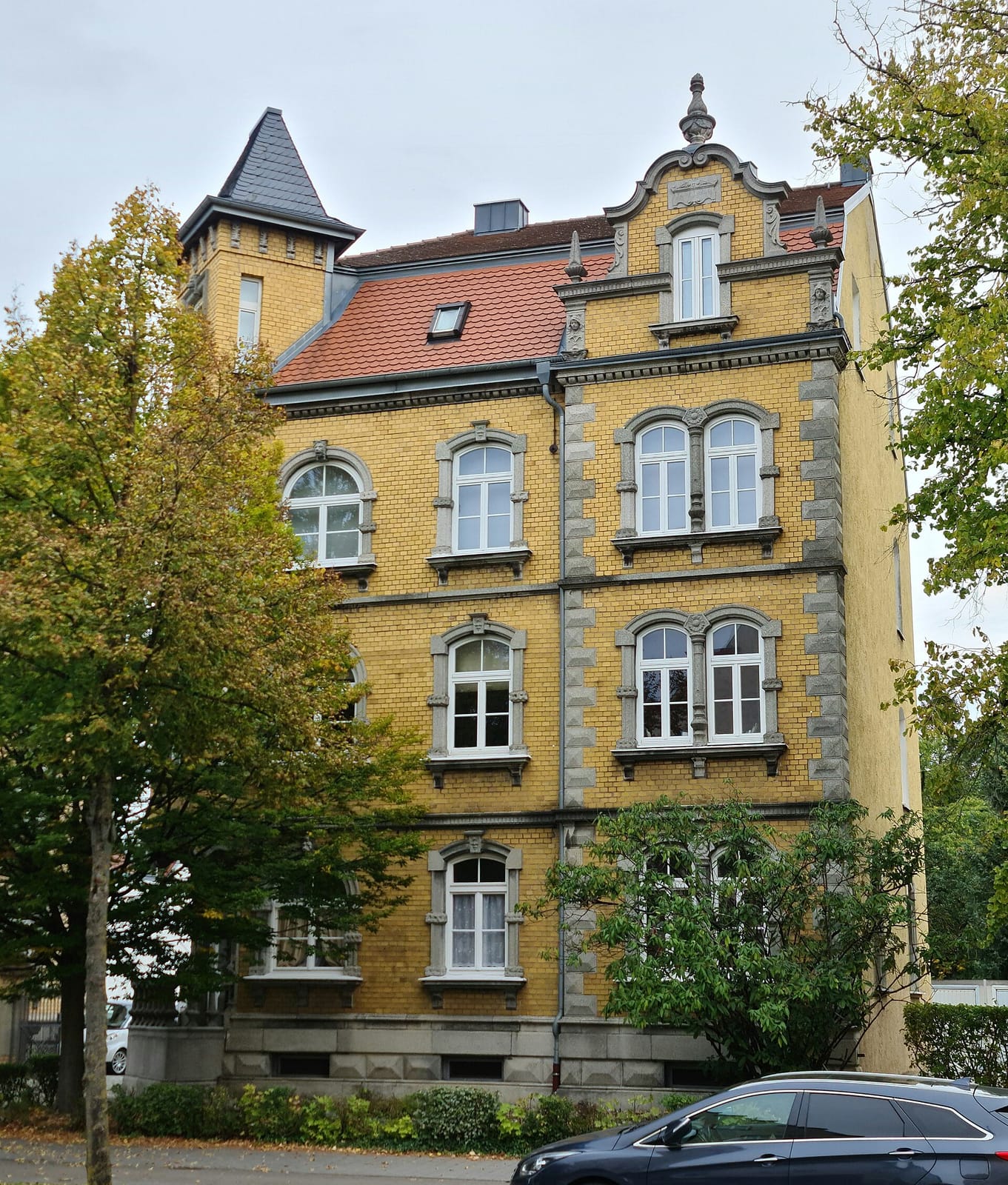 Schwedenschimmel