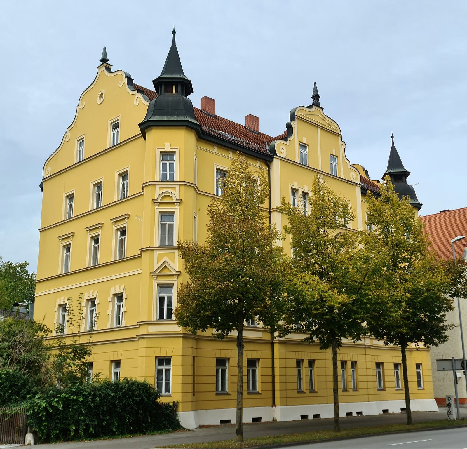 Schwedenschimmel photo 2