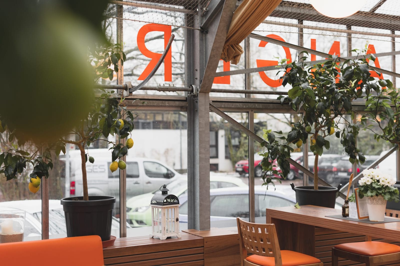 Orangerie photo 5