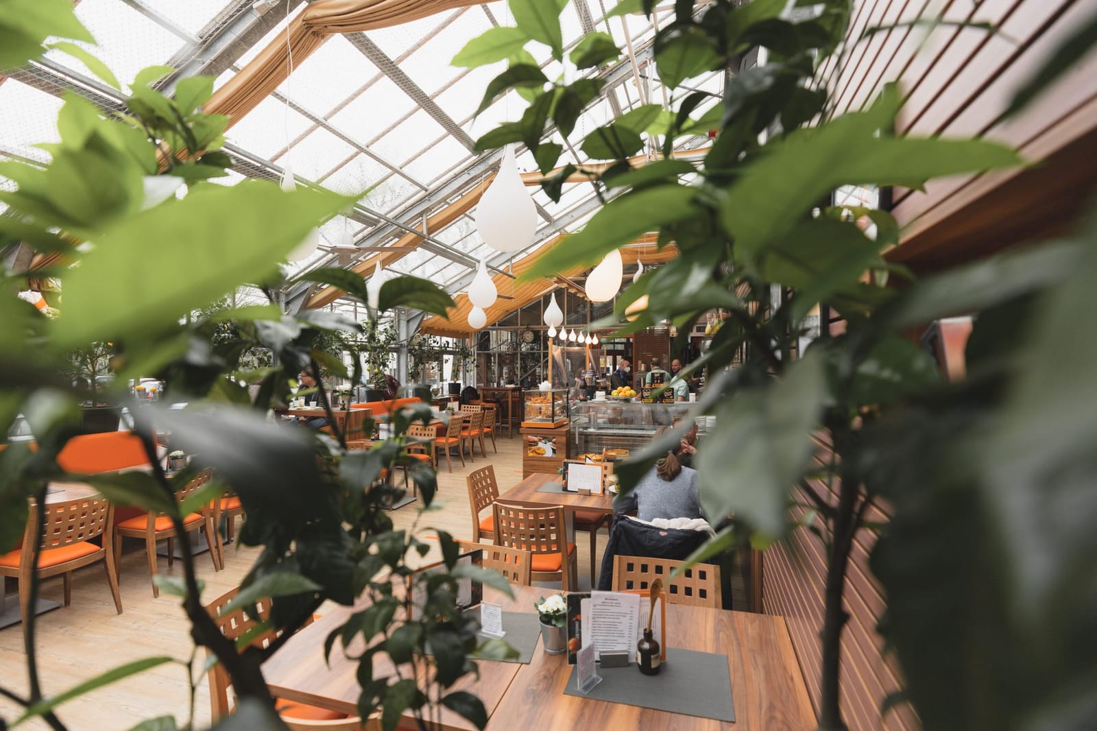 Orangerie photo 3