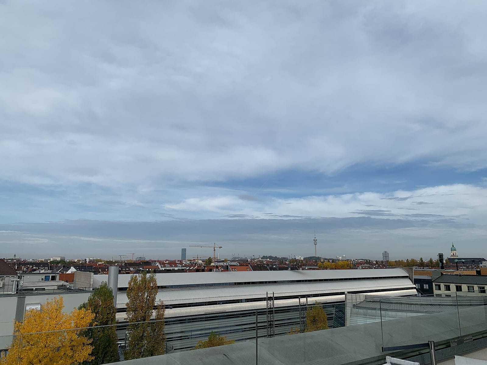 Nachhoelzer photo 4