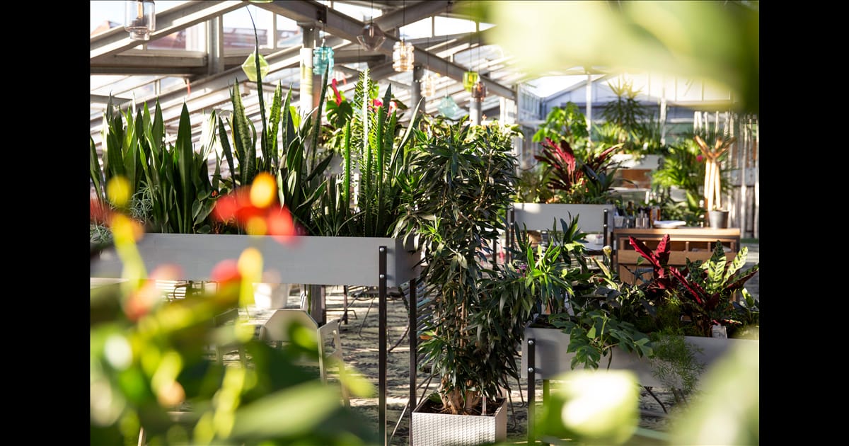 Galerie-Café Seebauer