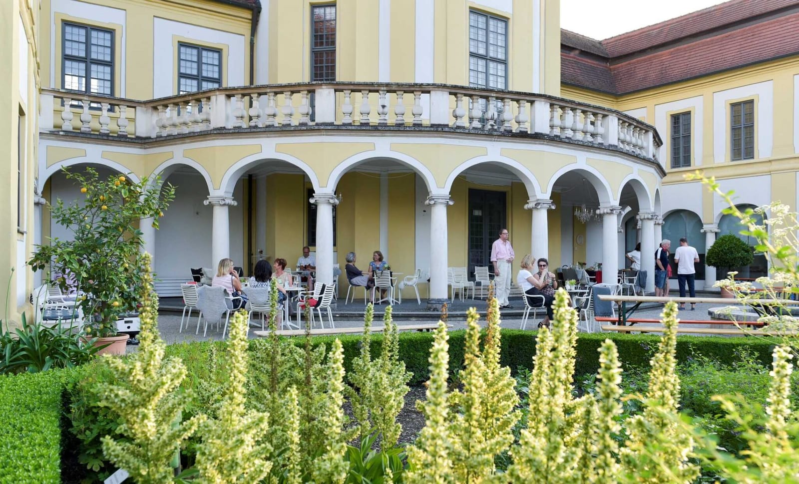 hortus medicus photo 2