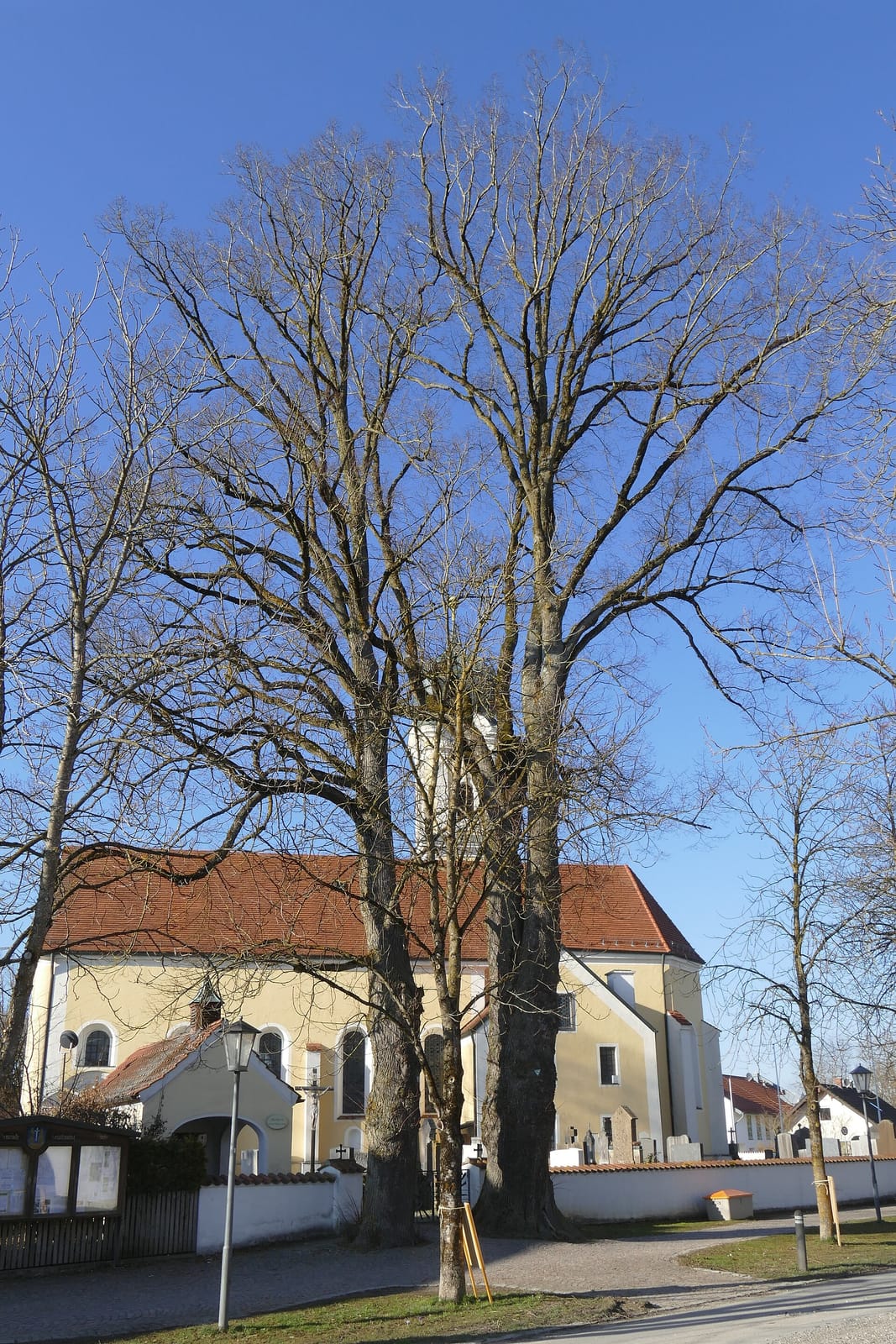 Café Zeitschmiede photo 4