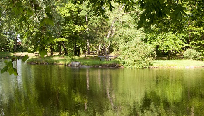 Klostercafé und Klosterladen Schloß Zinneberg photo 5