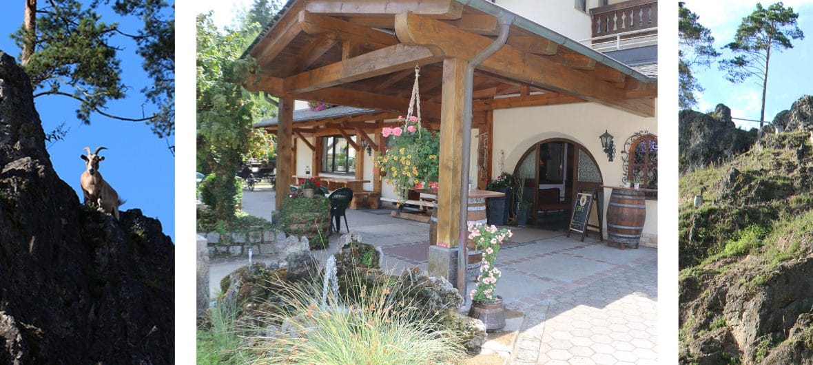Café Leistner photo 2