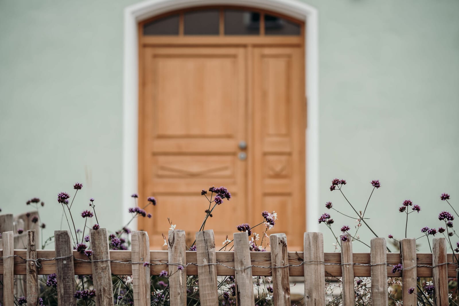 Frau Kunni photo 6