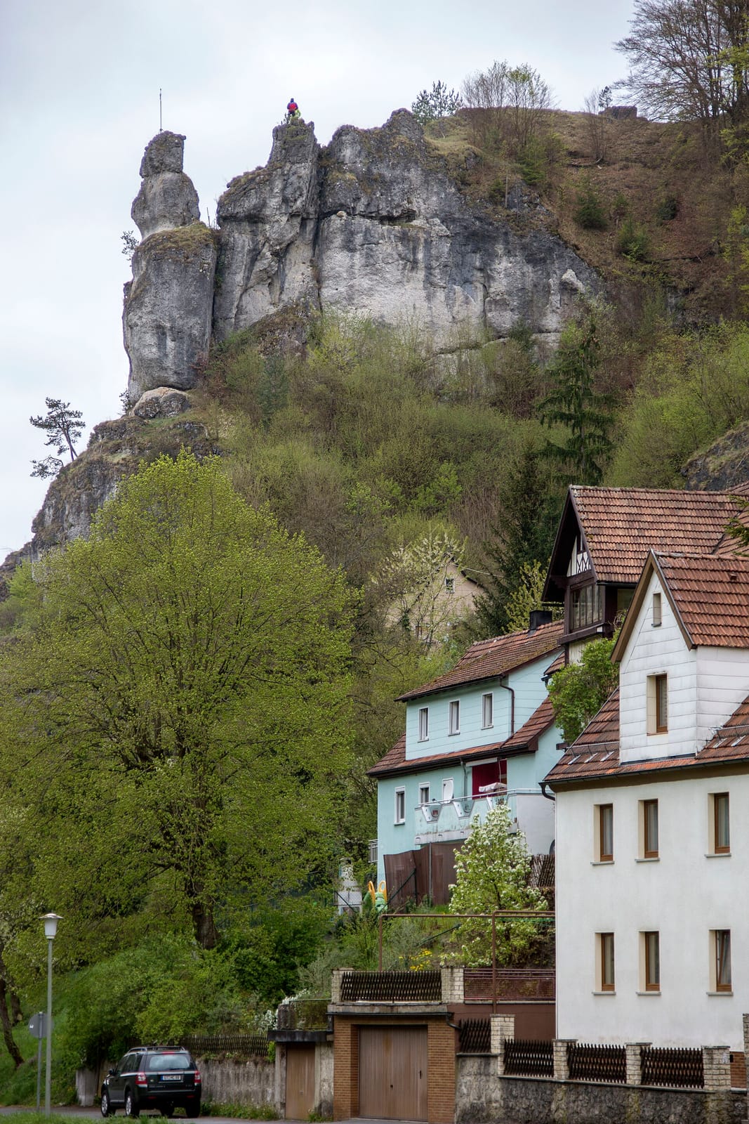 Waldcafé photo 4