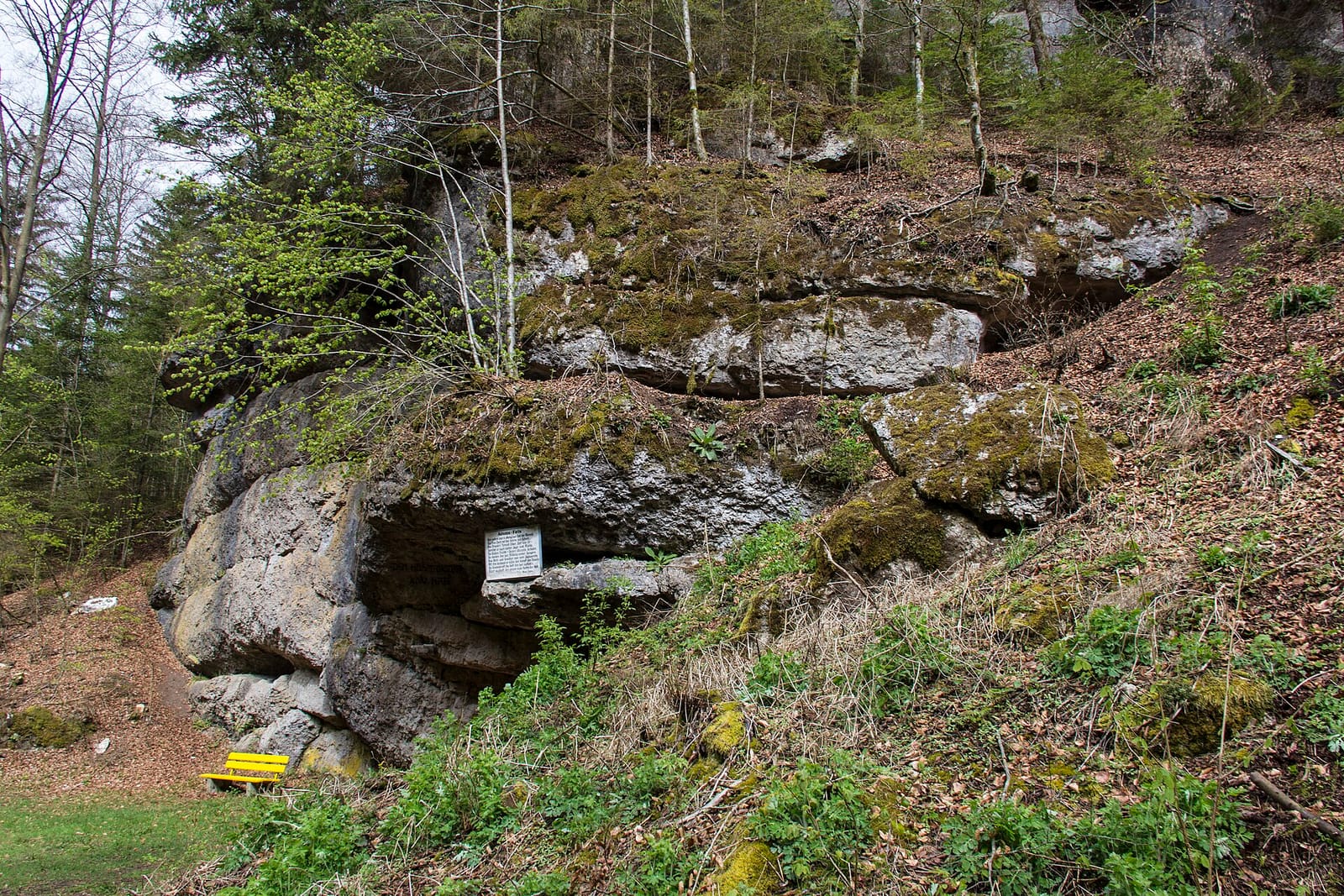 Waldcafé photo 2