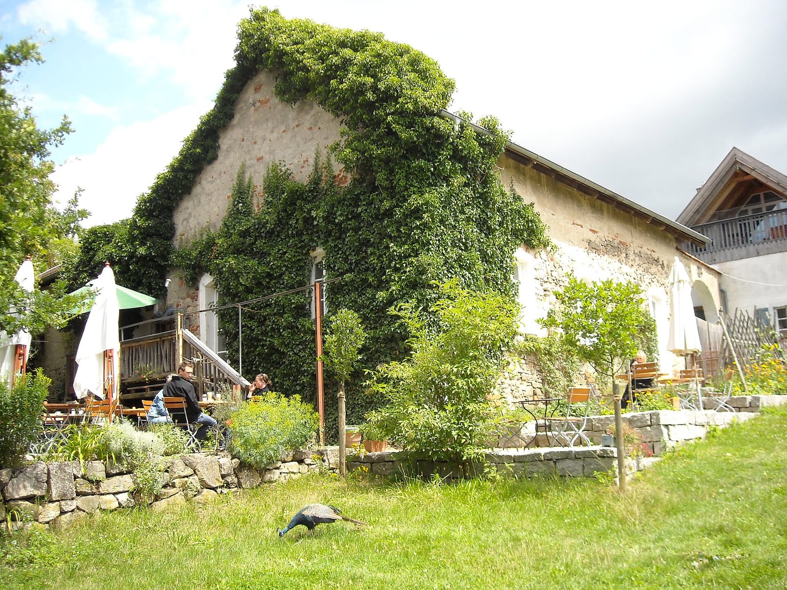 Le Marmiton