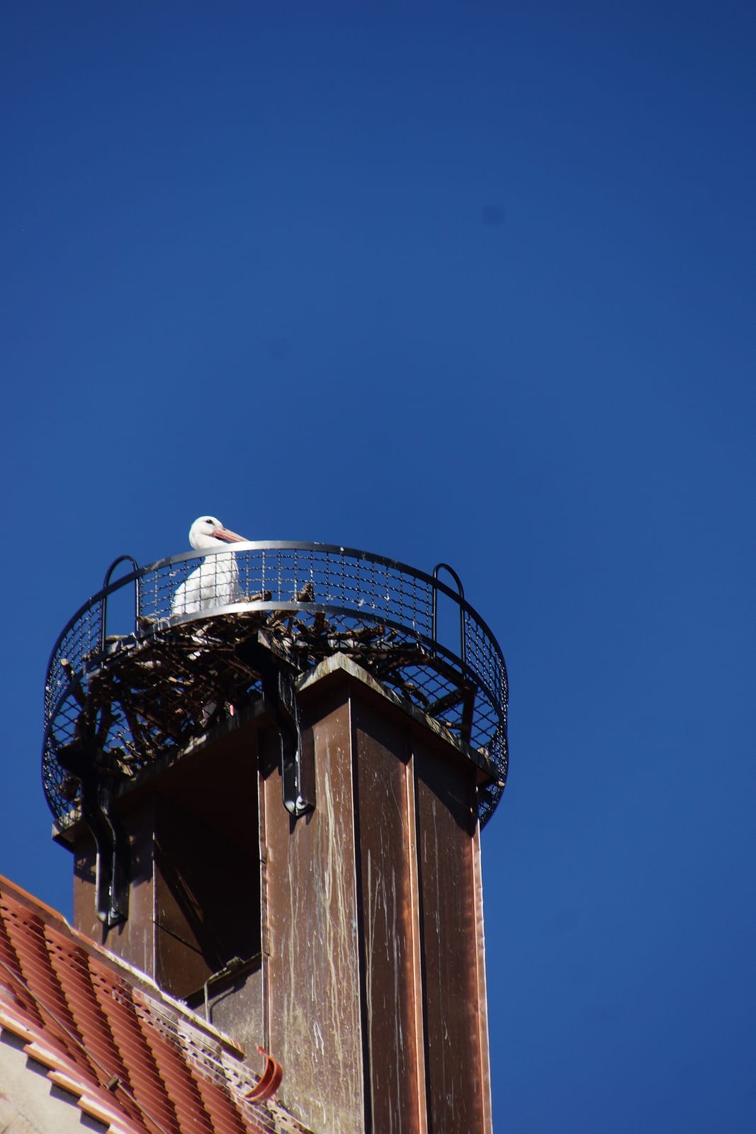 Piccola Venezia photo 3