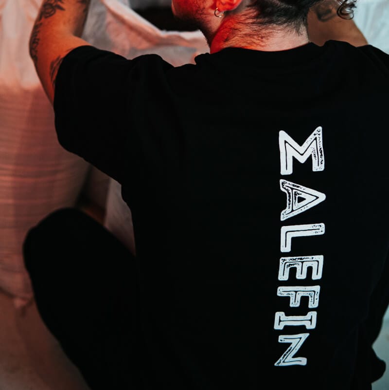Malefiz photo 2