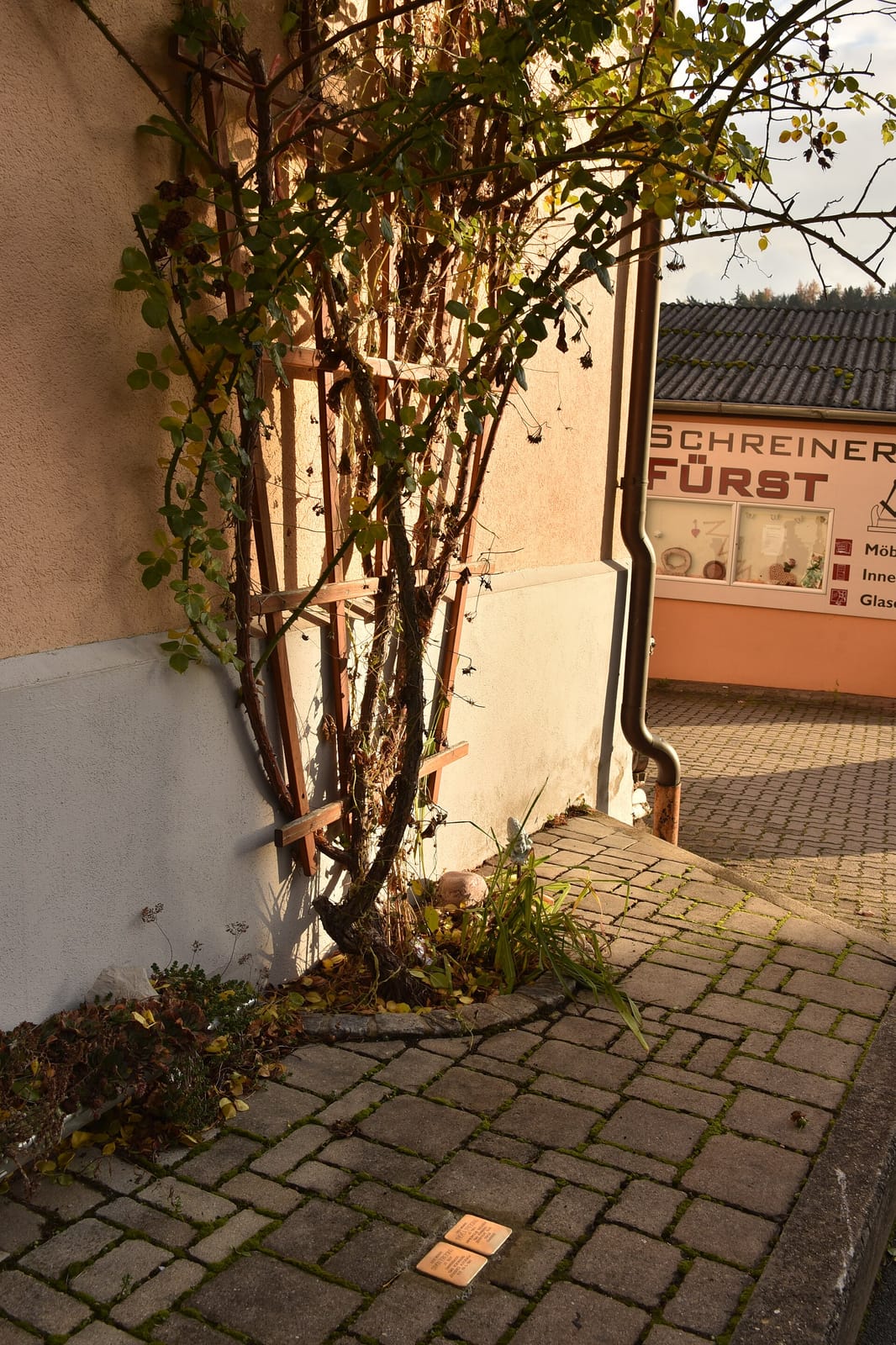 Cafe Zimtschnecke photo 2