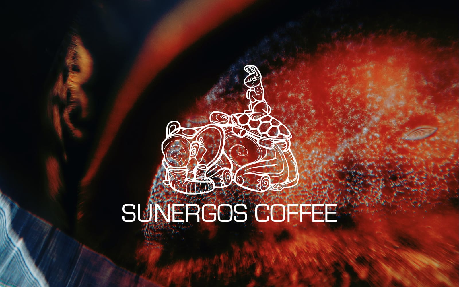 Sunergos Coffee photo 2