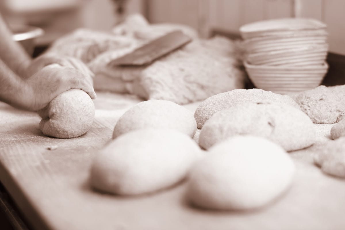 Café U – Biobäckerei Utters