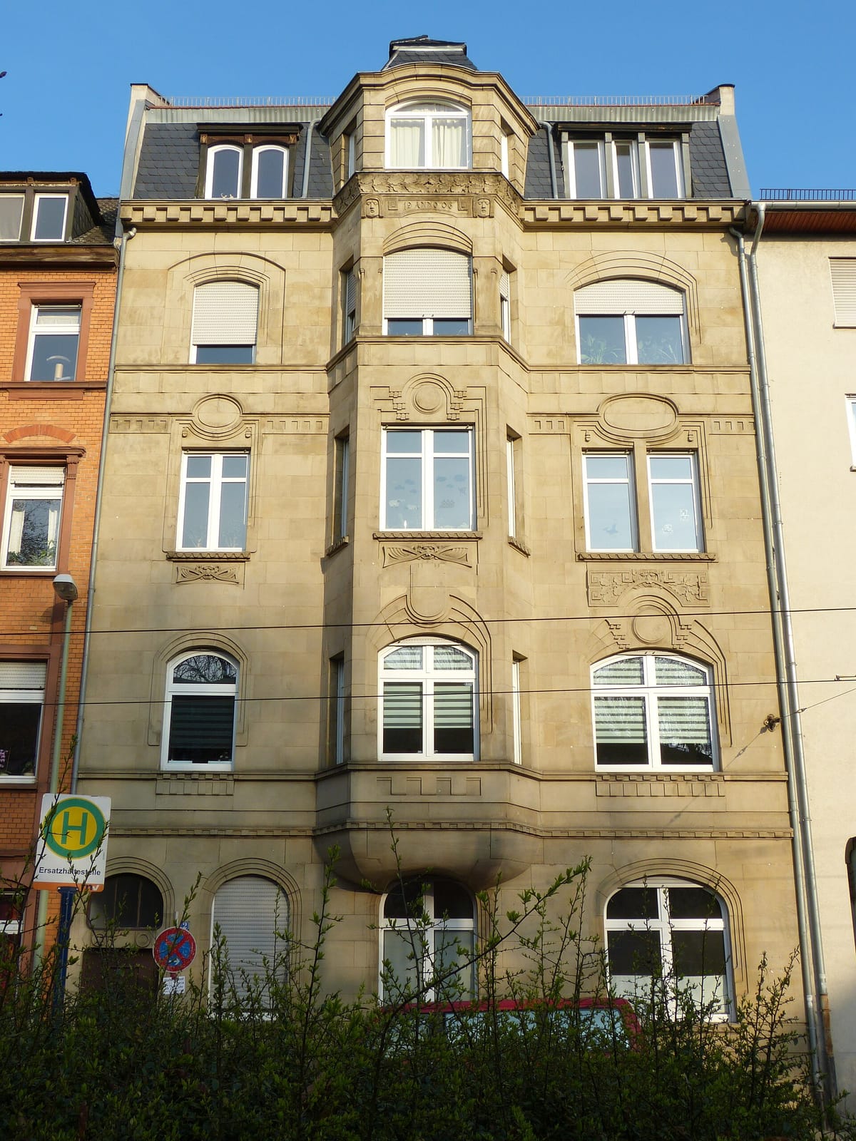 Palpito photo 4