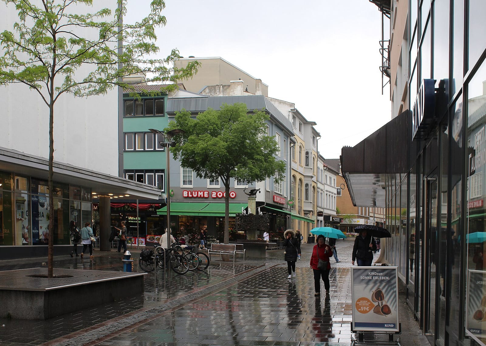 Otto Schall photo 2