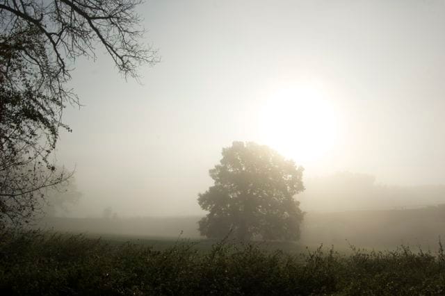 Domblick photo 5