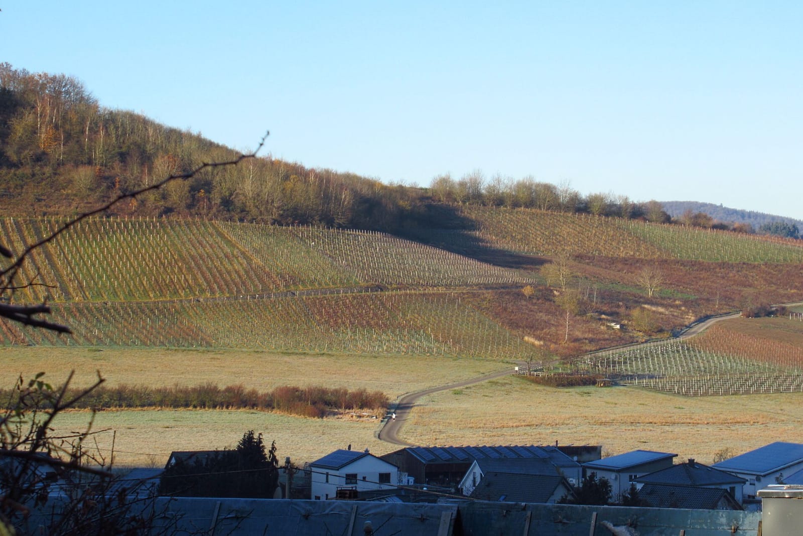 Petry's Backstuben photo 3